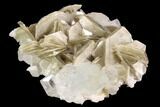 Gemmy Aquamarine Crystals On Muscovite - Pakistan #93518-2